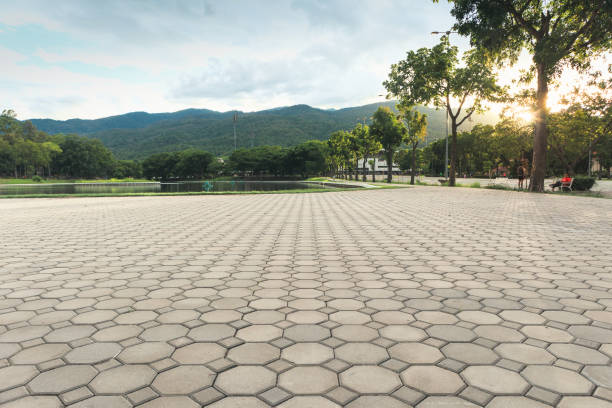 Best Driveway Paver Repair  in Breinigsville, PA